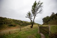 Hilly countryside with a gate and trees.